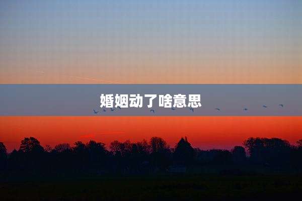 婚姻动了啥意思