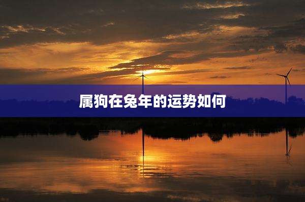 属狗在兔年的运势如何