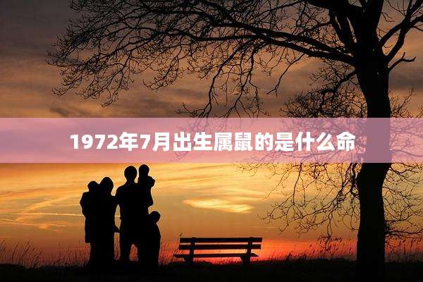 1972年7月出生属鼠的是什么命