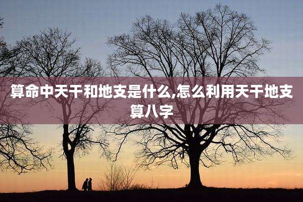 算命中天干和地支是什么,怎么利用天干地支算八字