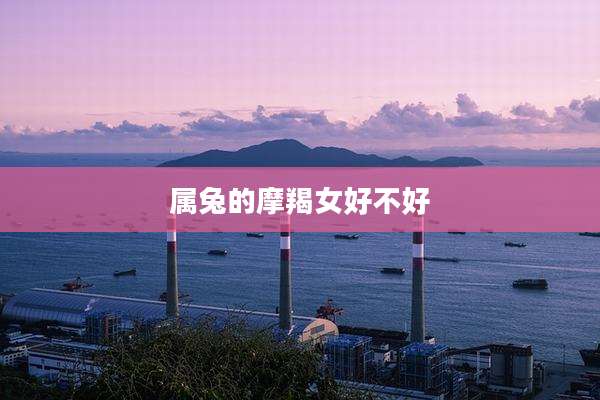 属兔的摩羯女好不好