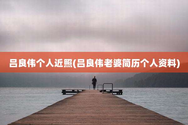 吕良伟个人近照(吕良伟老婆简历个人资料)