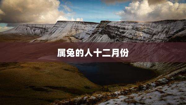 属兔的人十二月份