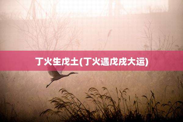 丁火生戊土(丁火遇戊戌大运)