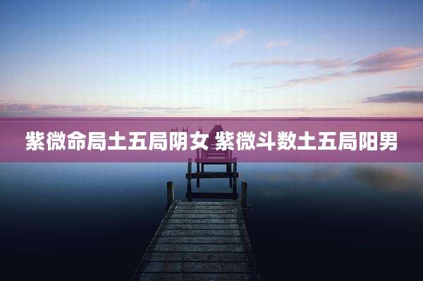 紫微命局土五局阴女 紫微斗数土五局阳男