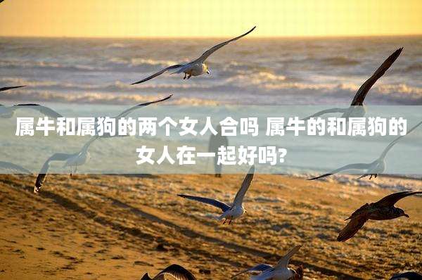 属牛和属狗的两个女人合吗 属牛的和属狗的女人在一起好吗?