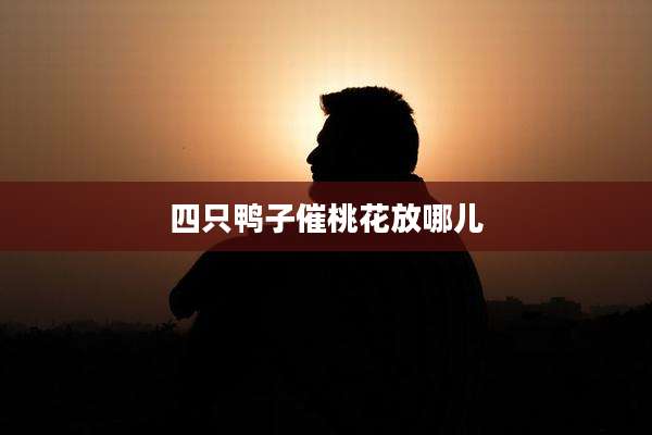 四只鸭子催桃花放哪儿