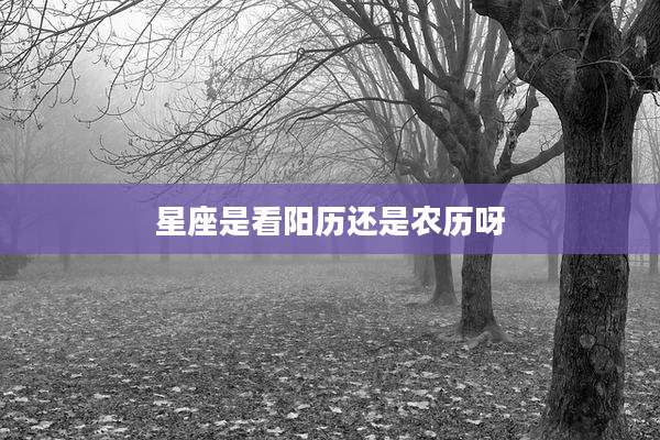 星座是看阳历还是农历呀