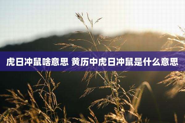 虎日冲鼠啥意思 黄历中虎日冲鼠是什么意思