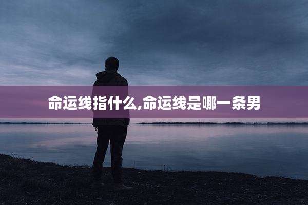 命运线指什么,命运线是哪一条男