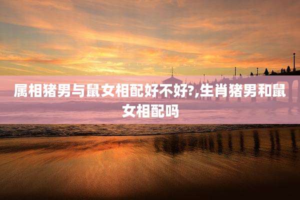 属相猪男与鼠女相配好不好?,生肖猪男和鼠女相配吗