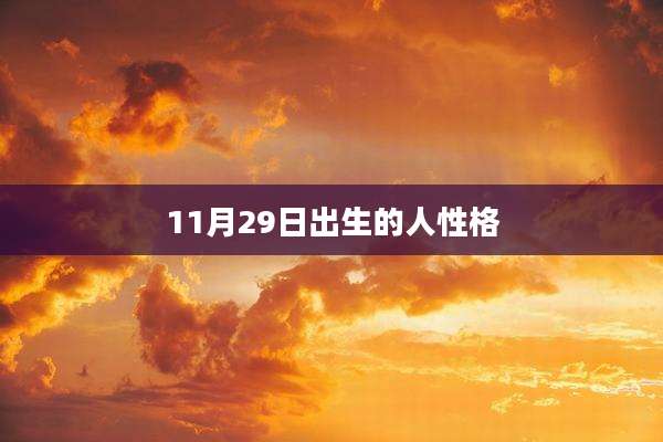 11月29日出生的人性格