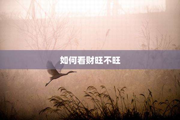 如何看财旺不旺