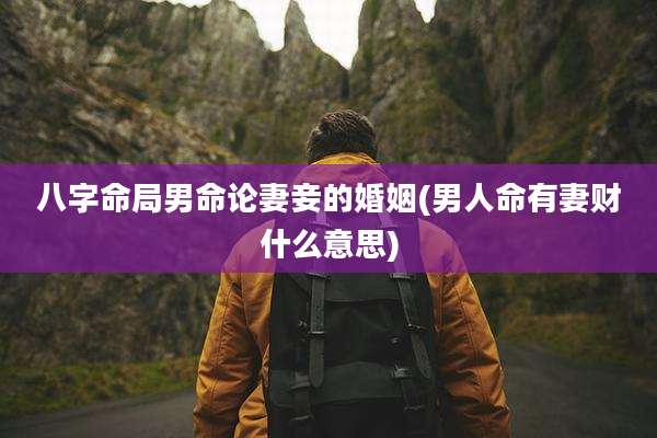 八字命局男命论妻妾的婚姻(男人命有妻财什么意思)
