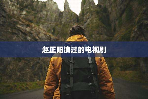 赵正阳演过的电视剧