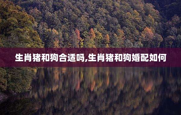 生肖猪和狗合适吗,生肖猪和狗婚配如何