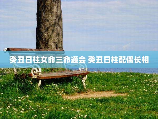 癸丑日柱女命三命通会 癸丑日柱配偶长相