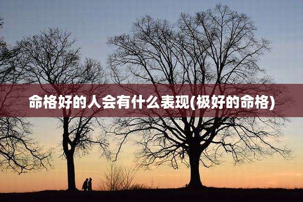 命格好的人会有什么表现(极好的命格)