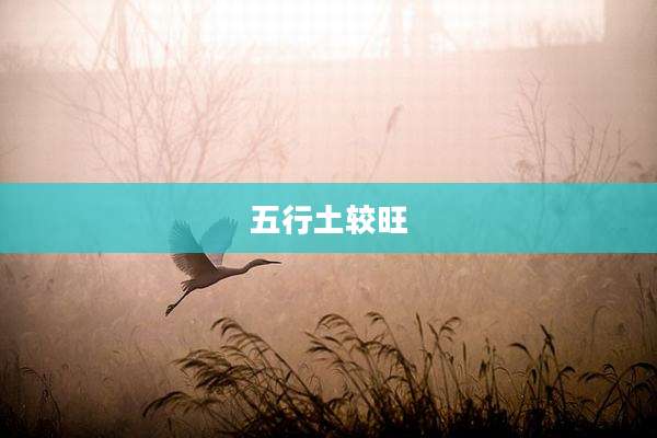 五行土较旺