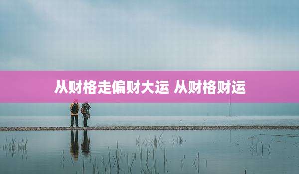 从财格走偏财大运 从财格财运