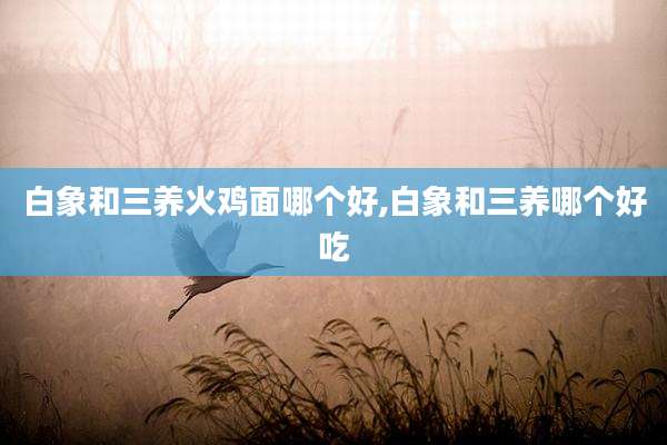 白象和三养火鸡面哪个好,白象和三养哪个好吃