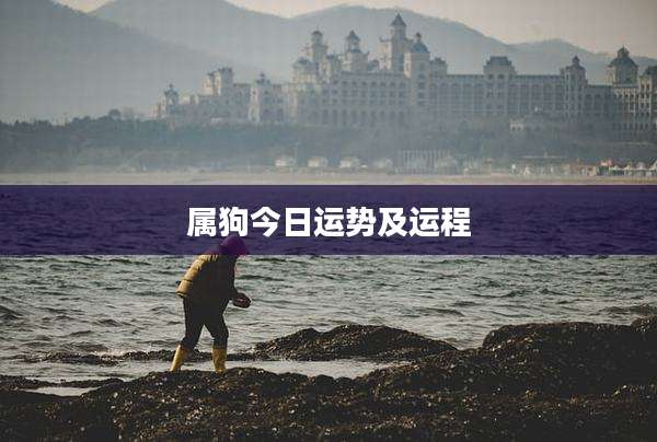 属狗今日运势及运程