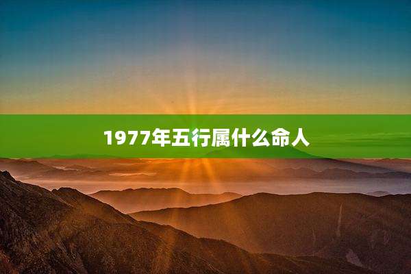 1977年五行属什么命人
