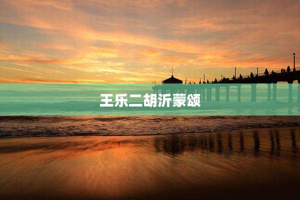 王乐二胡沂蒙颂