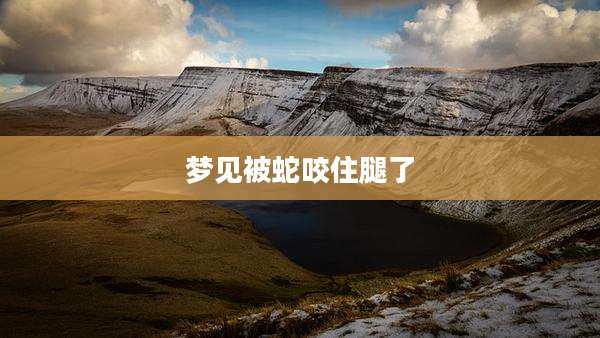 梦见被蛇咬住腿了