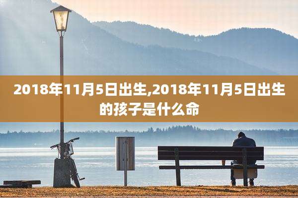 2018年11月5日出生,2018年11月5日出生的孩子是什么命