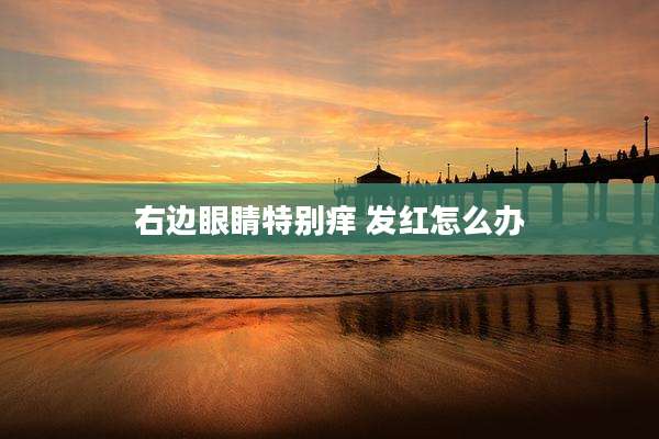 右边眼睛特别痒 发红怎么办