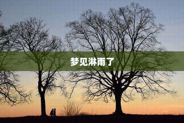 梦见淋雨了