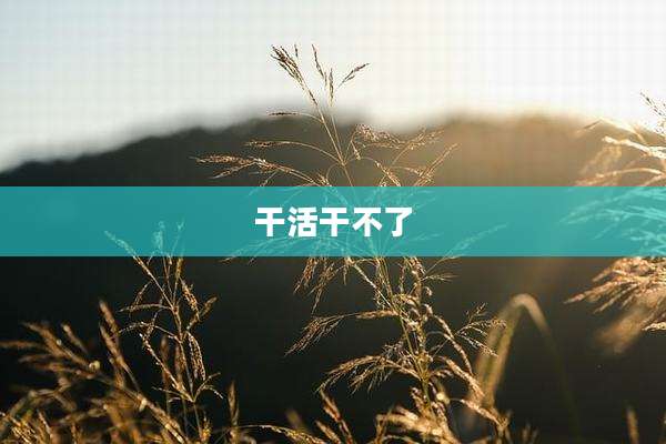 干活干不了