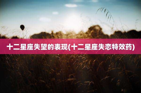十二星座失望的表现(十二星座失恋特效药)