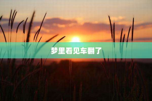 梦里看见车翻了