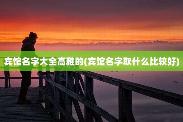宾馆名字大全高雅的(宾馆名字取什么比较好)