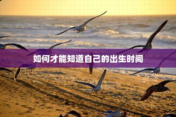 如何才能知道自己的出生时间