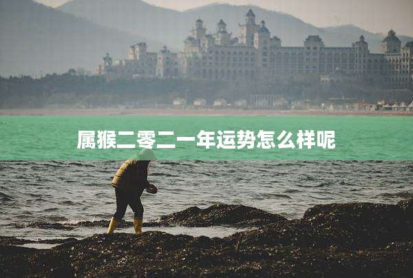 属猴二零二一年运势怎么样呢