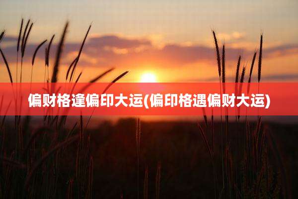 偏财格逢偏印大运(偏印格遇偏财大运)