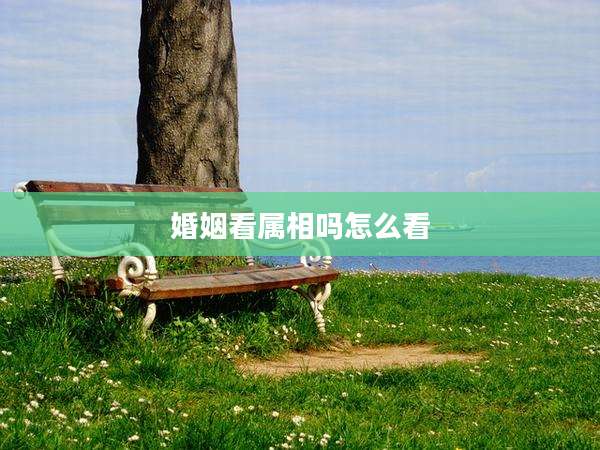 婚姻看属相吗怎么看