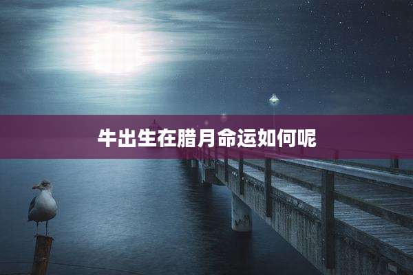 牛出生在腊月命运如何呢
