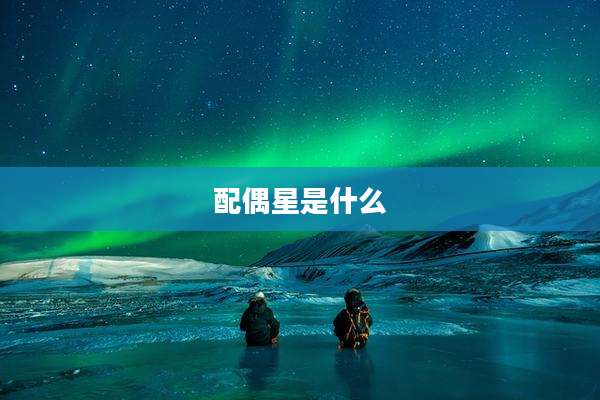 配偶星是什么