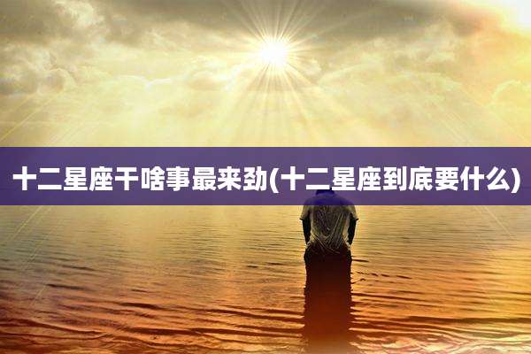十二星座干啥事最来劲(十二星座到底要什么)