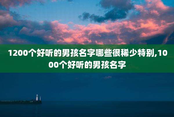 1200个好听的男孩名字哪些很稀少特别,1000个好听的男孩名字