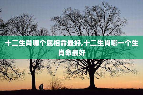 十二生肖哪个属相命最好,十二生肖哪一个生肖命最好