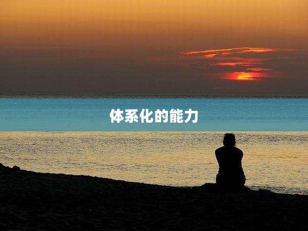 体系化的能力