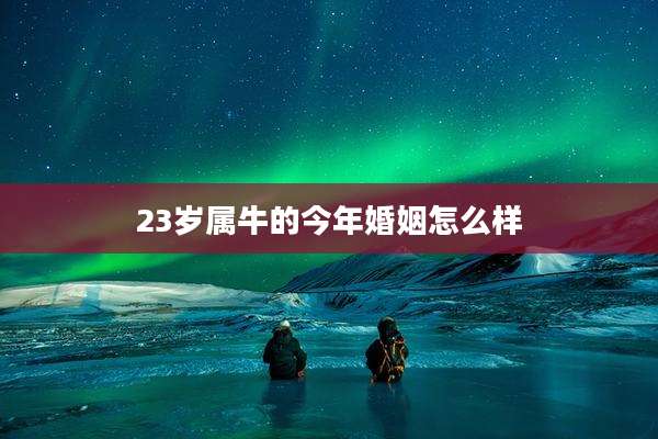 23岁属牛的今年婚姻怎么样