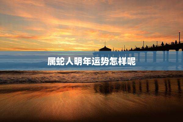 属蛇人明年运势怎样呢
