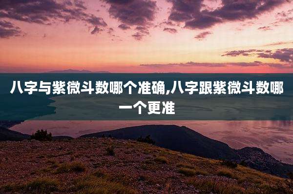 八字与紫微斗数哪个准确,八字跟紫微斗数哪一个更准