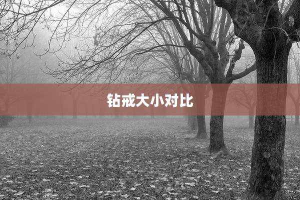 钻戒大小对比